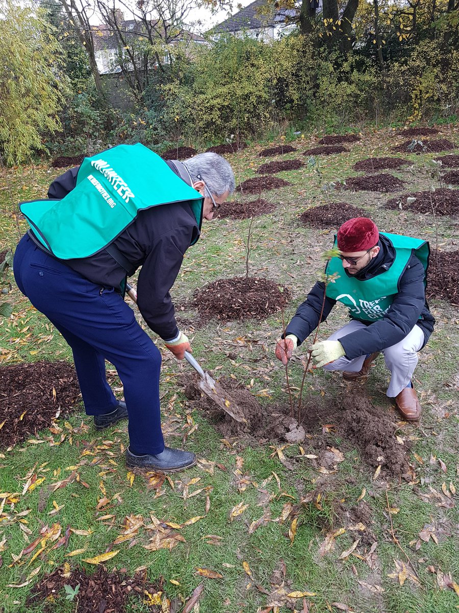 IFWeek's tweet photo. Wonderful to be with OneJain, @HInterfaith, @harrow_council and @TreesforCities today, planting an Ahimsa Peace Forest as part of #InterFaithWeek, to commemorate the 150th birth anniversary of Mahatma Gandhi https://t.co/fzT2jvMZig