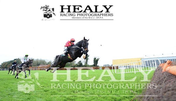 how far does KLASSICAL DREAM @PTownend take off before the first in the Grade 1 @unibet Morgiana Hurdle @punchestownrace see all the action on healyracing.ie