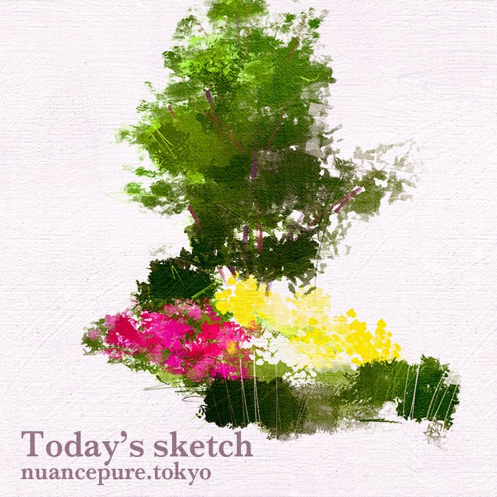 葉月慧 はづけい على تويتر Daily Sketch 植物図鑑 スケッチ イラスト 花と木 Sketch Art Painting Drawing