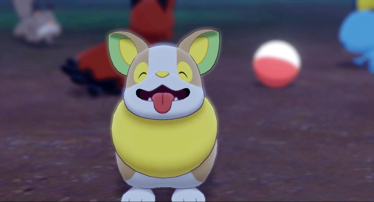 O Xrhsths えねる ポケモンgo Sto Twitter ワンパチ 今回1番ツボポケモンはワンパチになると思います イヌヌワン O Xrhsths えねる ポケモンgo Sto Twitter ワンパチ 今回1番ツボポケモンはワンパチになると思います イヌヌワン