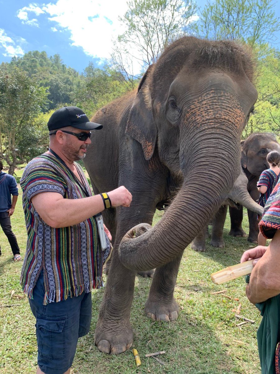 Day 2 of hosting our Special Volunteer Custom Group of 53 people from an accounting firm in the US, here in Chiang Mai, Thailand. Today was Elephant Day! Everyone got dirty!
VolunteerThailand.org #friendsforasia #volunteerthailand #volunteerchiangmai #groupvolunteering #csr