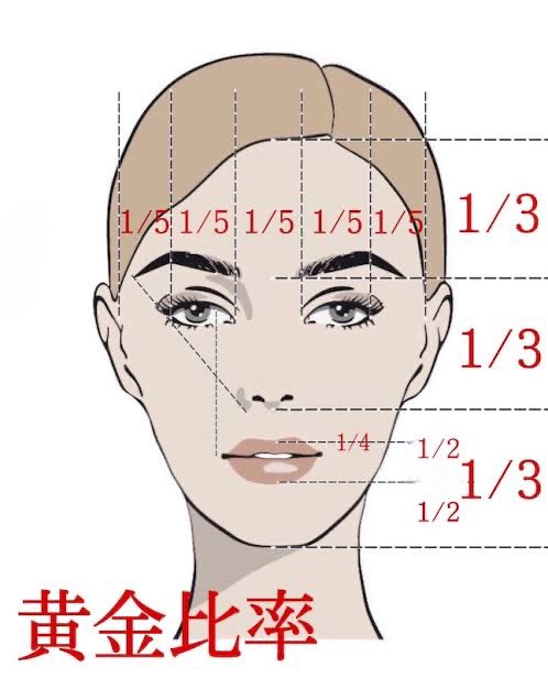 顔面偏差値の平均どのくらい 黄金比率とチェック表 顔幅を狭くする方法 日々の知りたいこと