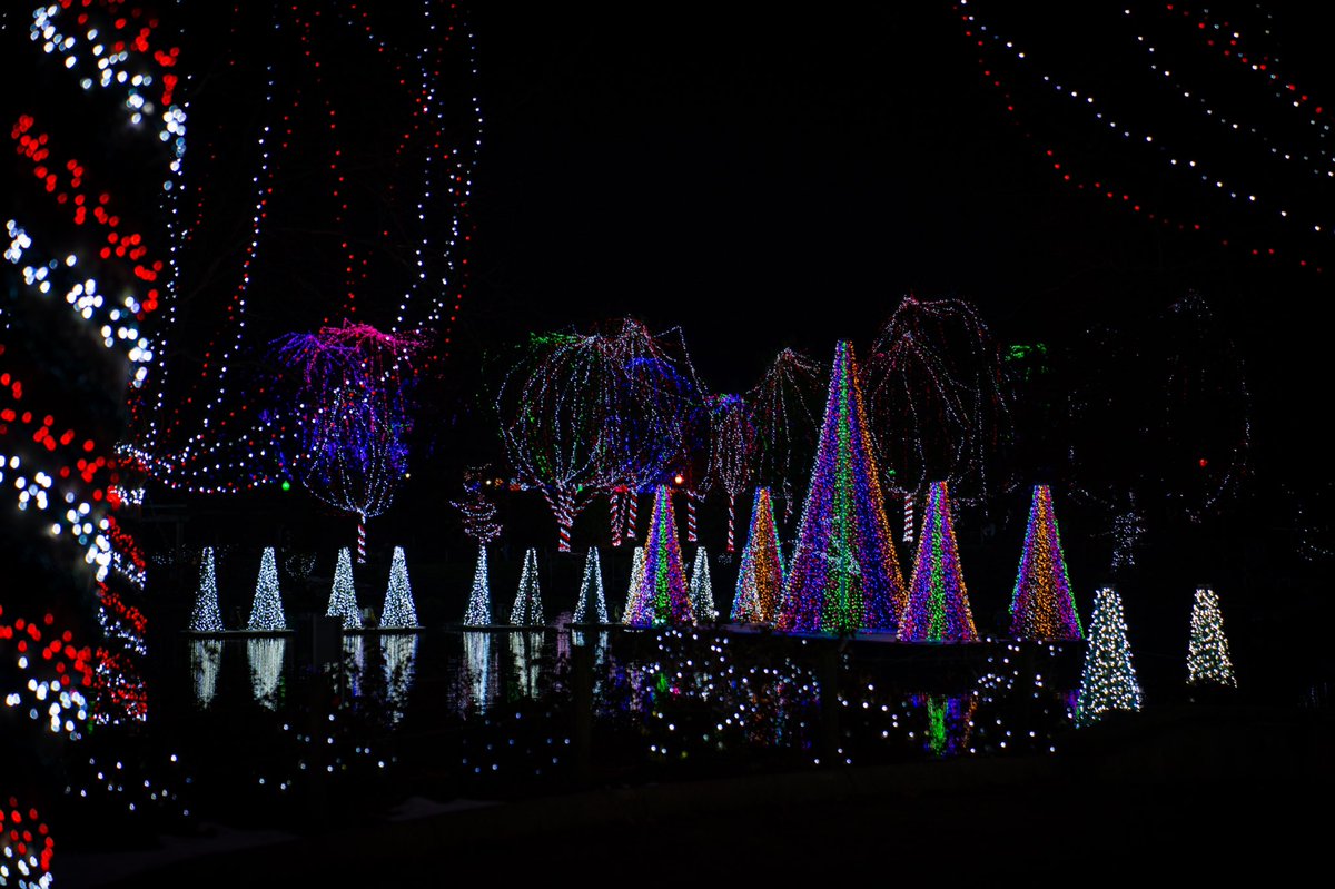 dsaundmedia's tweet photo. Zoo Lights 2019 🌲📸 

#CZAA https://t.co/FWTYwCk3IA