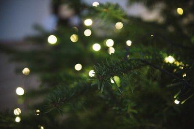 scandi_events's tweet photo. It's beginning to look a lot like Christmas....
We can't wait to welcome you all into our little tipi wonderland to begin this year's festivities ✨✨ https://t.co/pAtQAujPzD