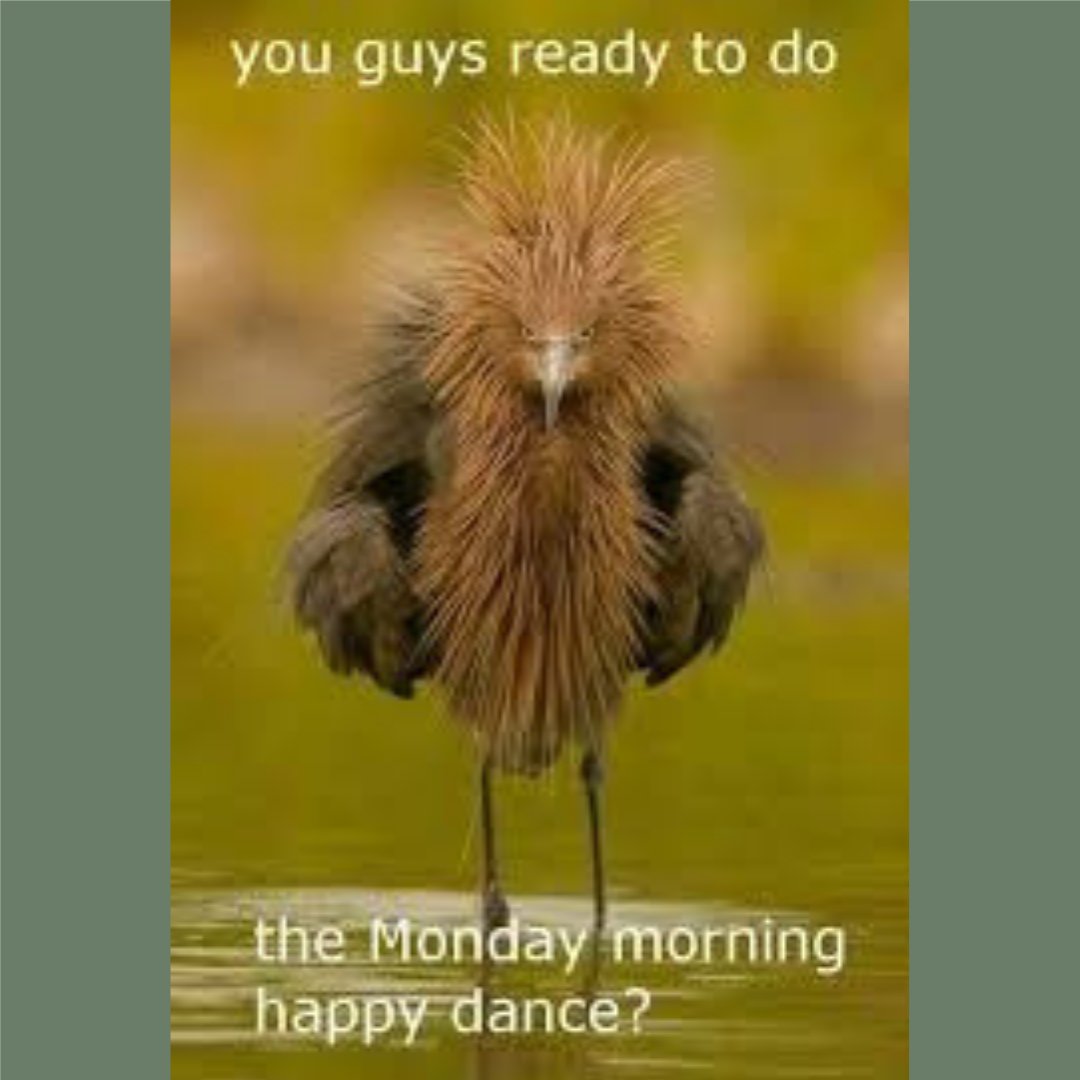 dancecreate's tweet image. Saturday is a great day to do the happy dance with us @dancecreate! Dance Basic Boot Camps are on! See you @10am 
------------------------------------
#happydance #dancecreate #dancebasics #dancebootcamps