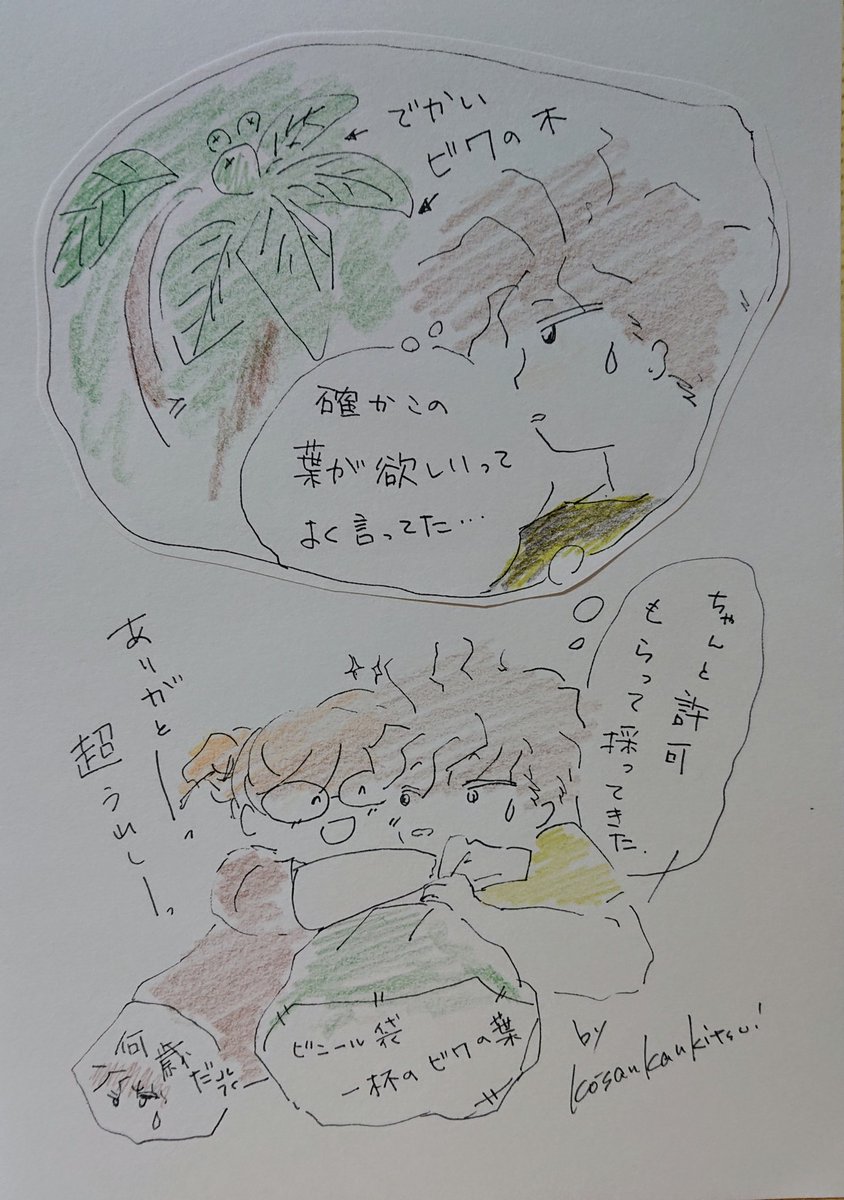 降参柑橘類 中国の古い言い伝えで ビワの木があると 病人がその葉を求めて 列をなした 縁起が悪いと 誤解された ビワ 乾燥させると強度が増す ビワの木の杖は丈夫で長持ち 長寿杖 なんて異名も 皮膚炎やあせもに湿布したり 浴用料にしたり薬効が