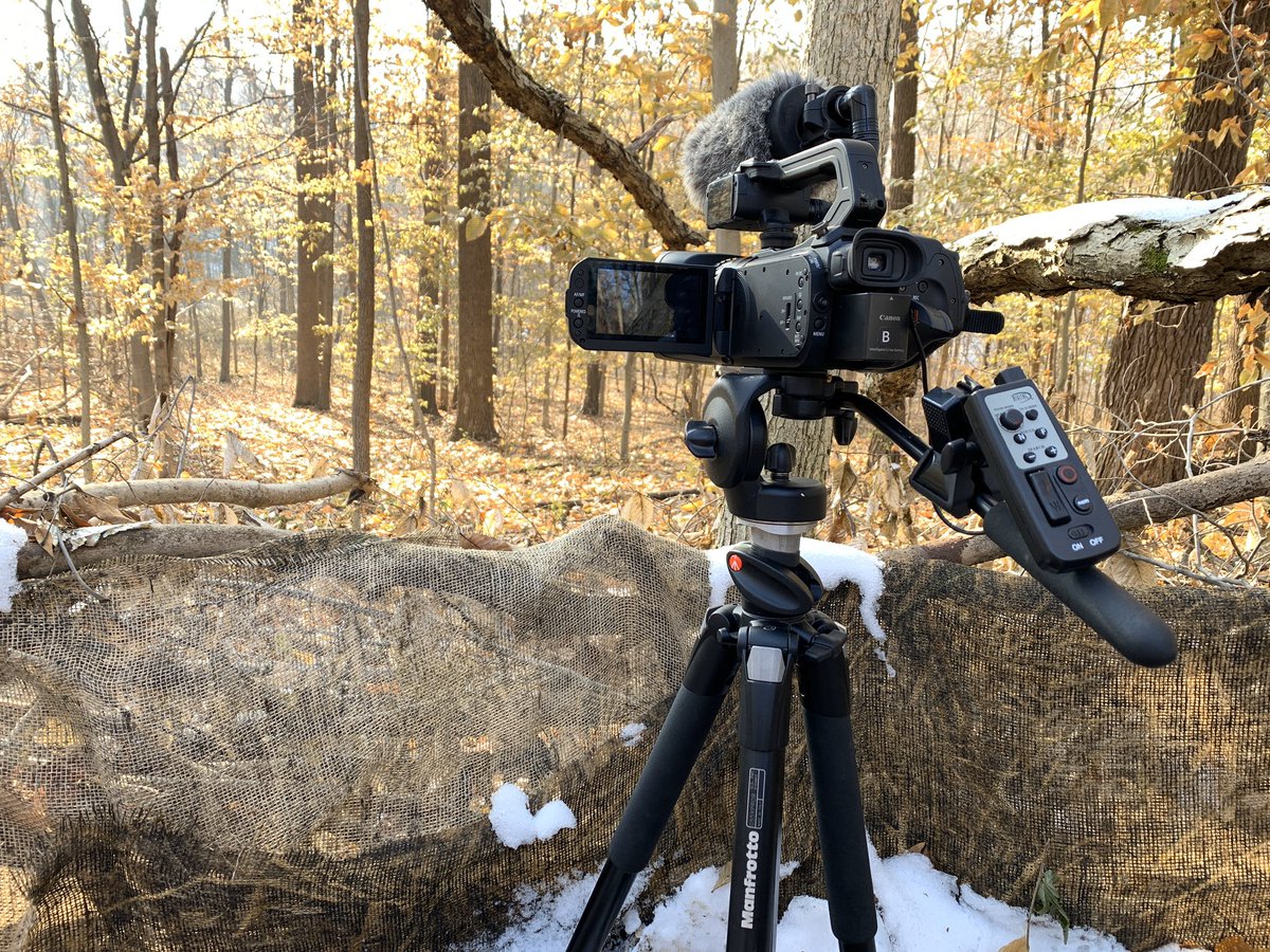 BootprintsTV's tweet image. Beautiful morning in the woods today.