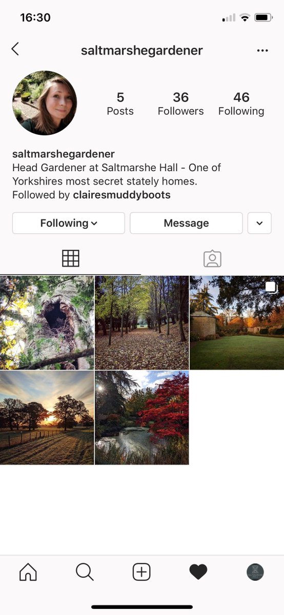 S A L T M A R S H E  G A R D E N S 🍁 🏛️ 🍁 

We had such a great response from you all on our last post about the gardens, we'd like to introduce you to .... 🥁 @saltmarshegardener 
Find us on Instagram and see our grounds through Claire's eyes 👀 🐿️ 🌳 🍂