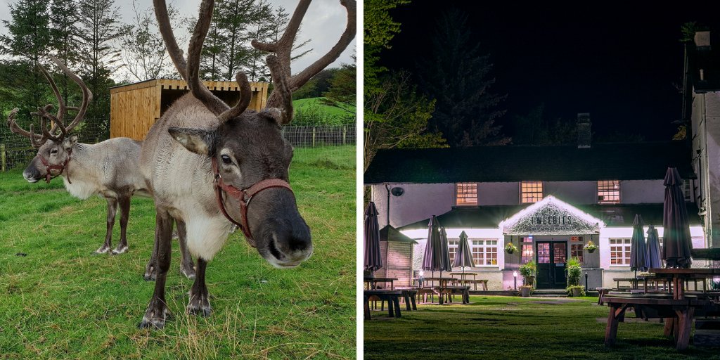 A winter break in Cumbria provides a wide range of activities for our visitors - we're very excited about Grasmere's brand new Christmas market on the 23rd and 24th November. Will you be paying a visit? #theplacetobe <a href="/TweediesBar/">Tweedies Bar and Lodge</a> <a href="/CosyLogs/">Cosy Logs</a>