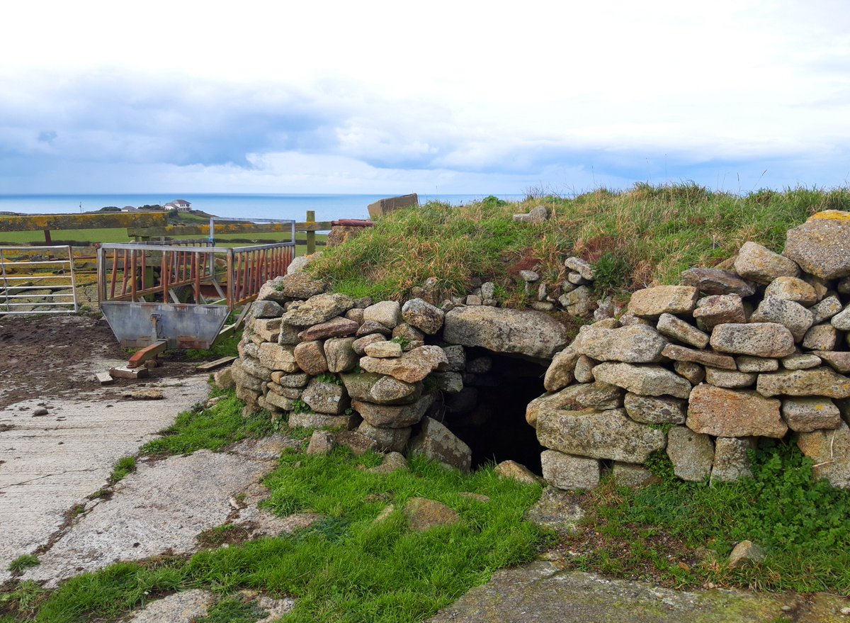 Pendeen Vau is a fogou with 17 m or so of tunnel. Two branches, one of which goes into a crawlspace that was partially flooded when I visited. Late Bronze age so roughly 3000 years old. Like all of Penwith's fogous, nobody's really sure of its purpose. #PrehistoryOfPenwith