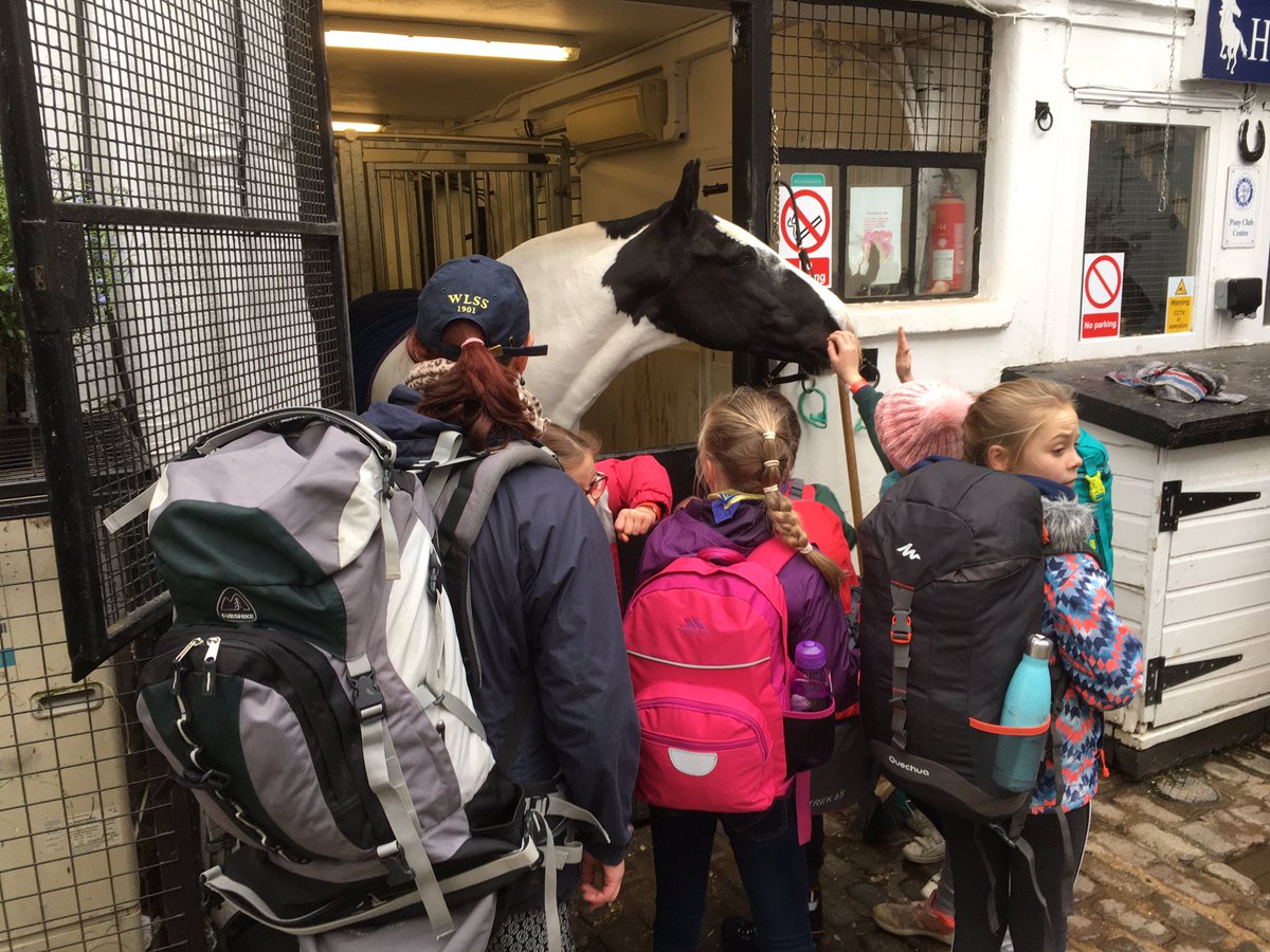 Earlier today we explored London’s news and some still have horses living in them 😀#mews #coachhorses #cubscouts