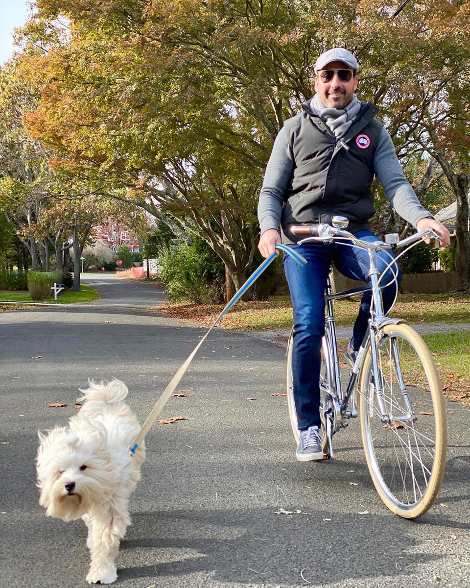 Have a paw-some weekend. Who will you ride with?
🍂 🚲 🐶  | 📸 by @pamelameech

#publicbikes #autumn #fall #autumnleaves #exploreyourcity  #pupsofinstagram
