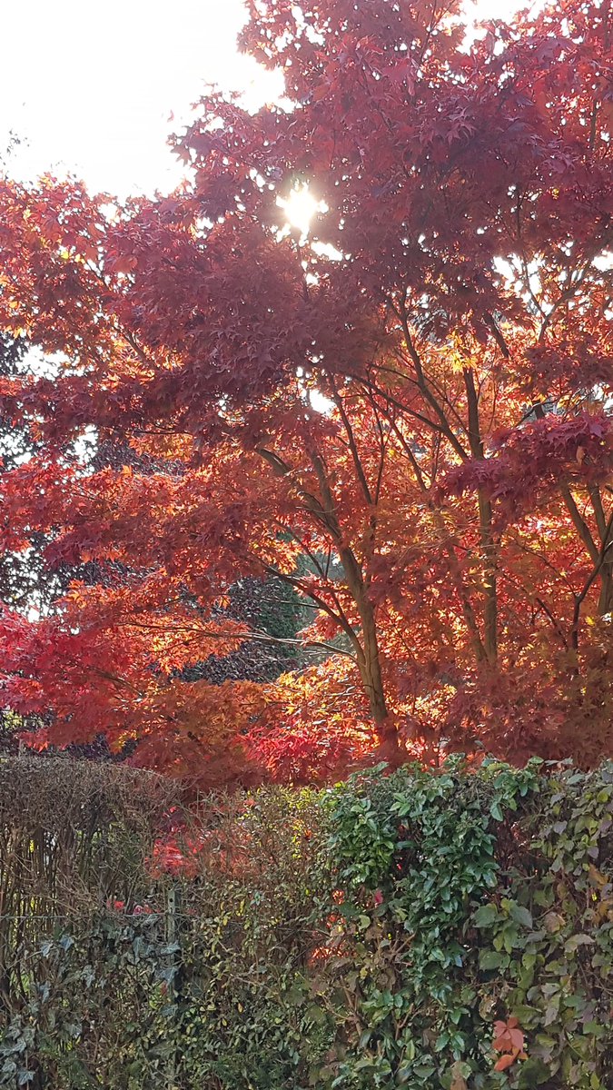 I love the autumnal colors