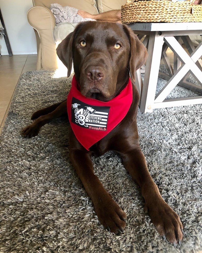 Please support our URGENT cause! ALS treatments are available - Approve NurOWn NOW and create a parallel pathway for all related ALS treatments - No more double blind, placebo groups! That is simply inhumane in ALS cases! We treat our dogs better! <a href="/RepAndyHarrisMD/">Rep. Andy Harris, MD</a>,
