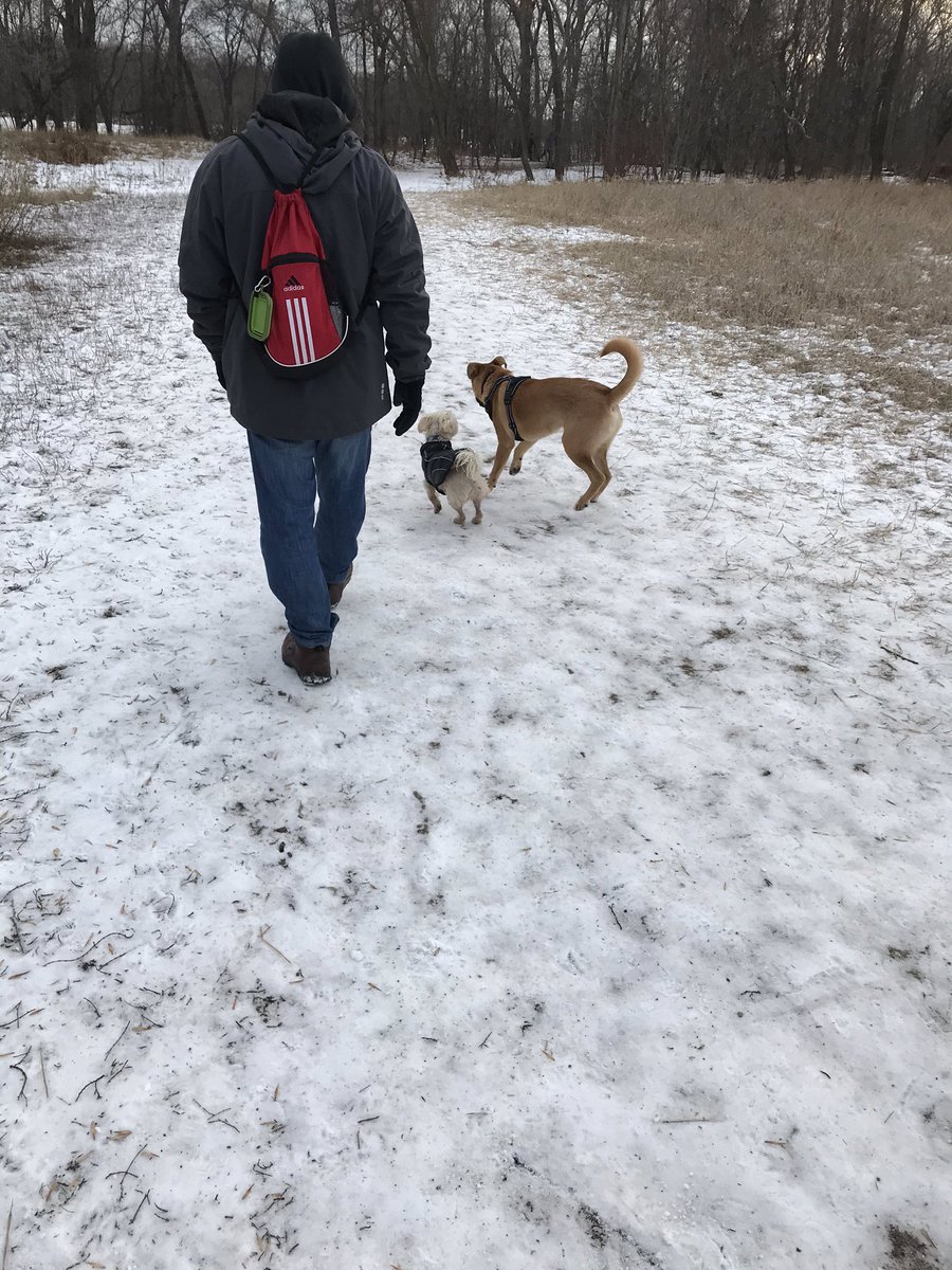 thisprairiegirl's tweet photo. New pack member! #naimo #cousins https://t.co/4N87OwsLO1