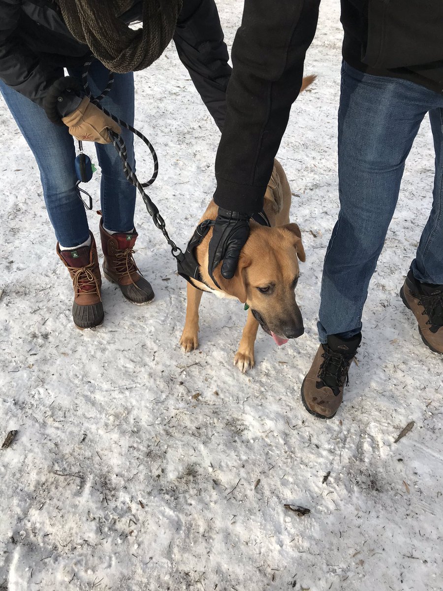 thisprairiegirl's tweet photo. New pack member! #naimo #cousins https://t.co/4N87OwsLO1