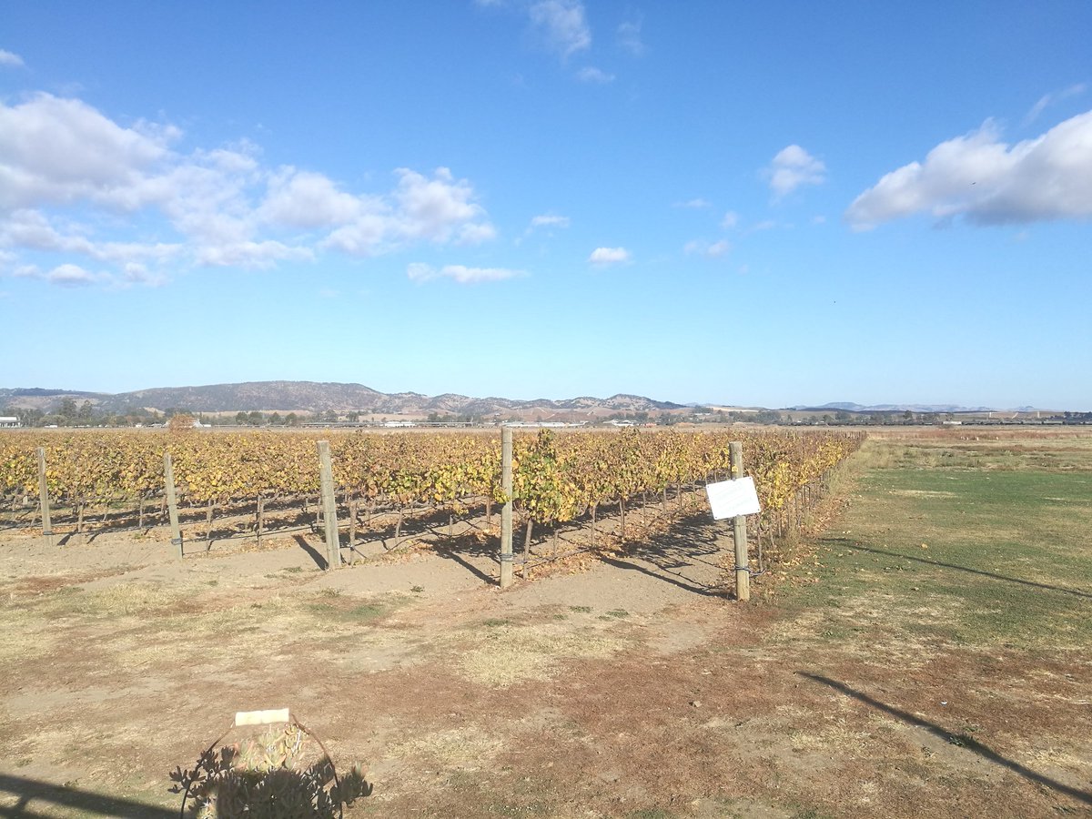 JeMaChPro's tweet photo. On their last day in SF County, Emba @Audencia students met a master sommelier in Sonoma and visited a family winery. They had the opportunity to discuss the wine trade in California and also had a wine tasting.
# EmbaAudenciaLtSF2019 https://t.co/EklwlvWeQD