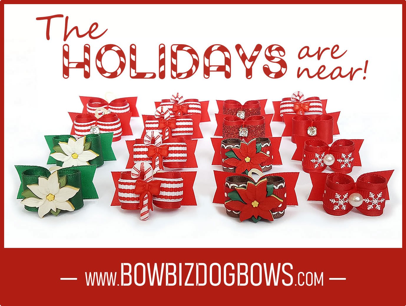 Bowbiz best sale