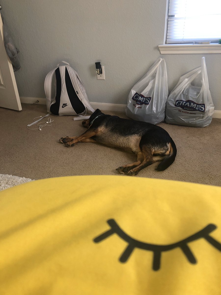 Mom caught me napping in her room 🙄