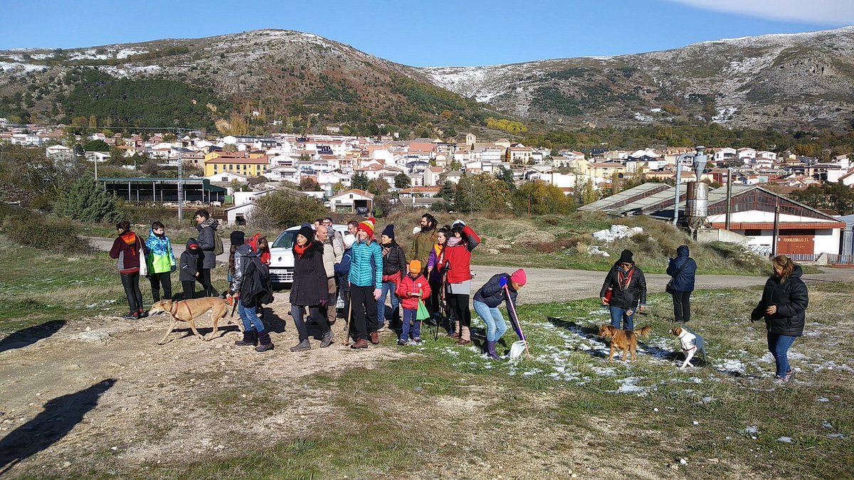 Hoy en #Bustarviejo, entre 25 a 30 personas hemos sembrado 15 kg de bellotas (unas 3000) de rebollo y encina.
#LaGranBellotadaIberica