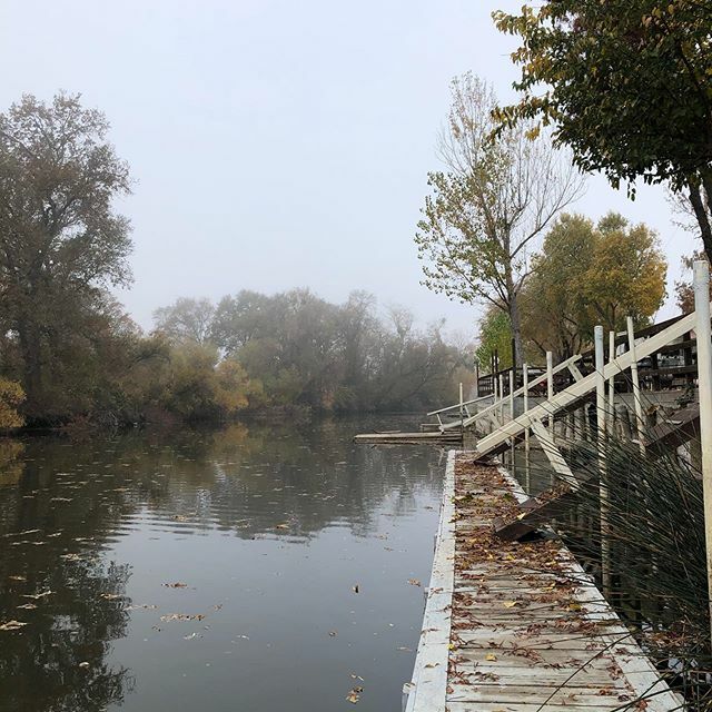 campclearlake's tweet photo. We’re loving the first foggy day of fall. Imagine yourself here for Thanksgiving. We’d love to share the holiday with you. Full hookups on Cache Creek. Book now. #thanksgivingcamping #openallyear #camping #cruiseamerica #airstream #vintagetrailer #findlakecounty #lovelakecou… https://t.co/zgYMrKllvt