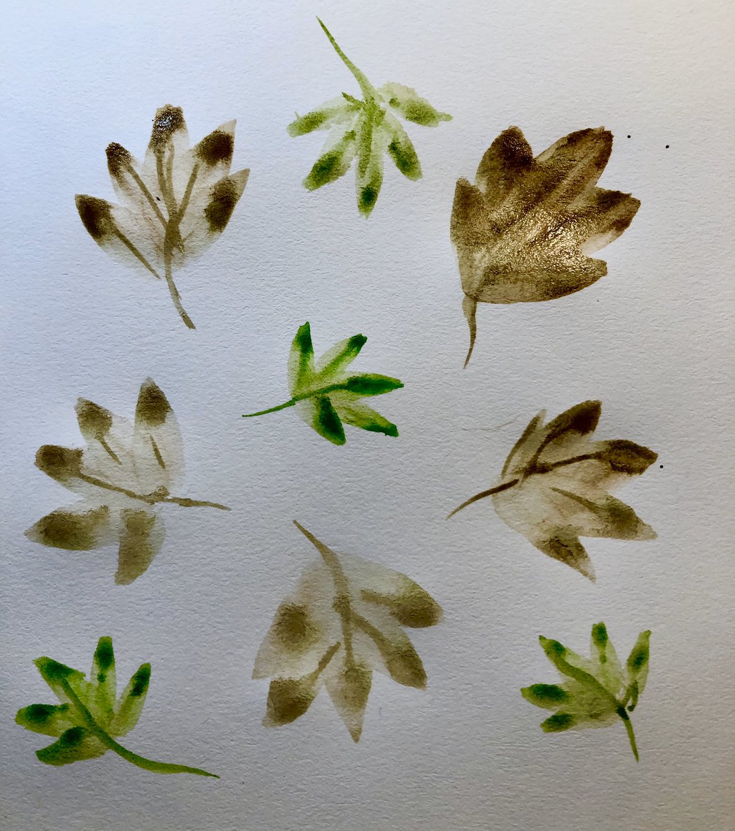 doodlwashNovember2019
#doodlewashNovember2019FunThingstoDraw
Day 7: Leaves