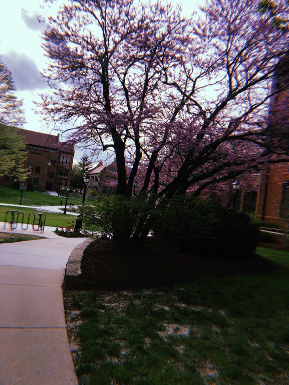 BourneBrittany's tweet photo. Thinking about the views of campus in the Spring during this snowy day #mk363 #staywarmstudyhard https://t.co/LKGJ88jO8f