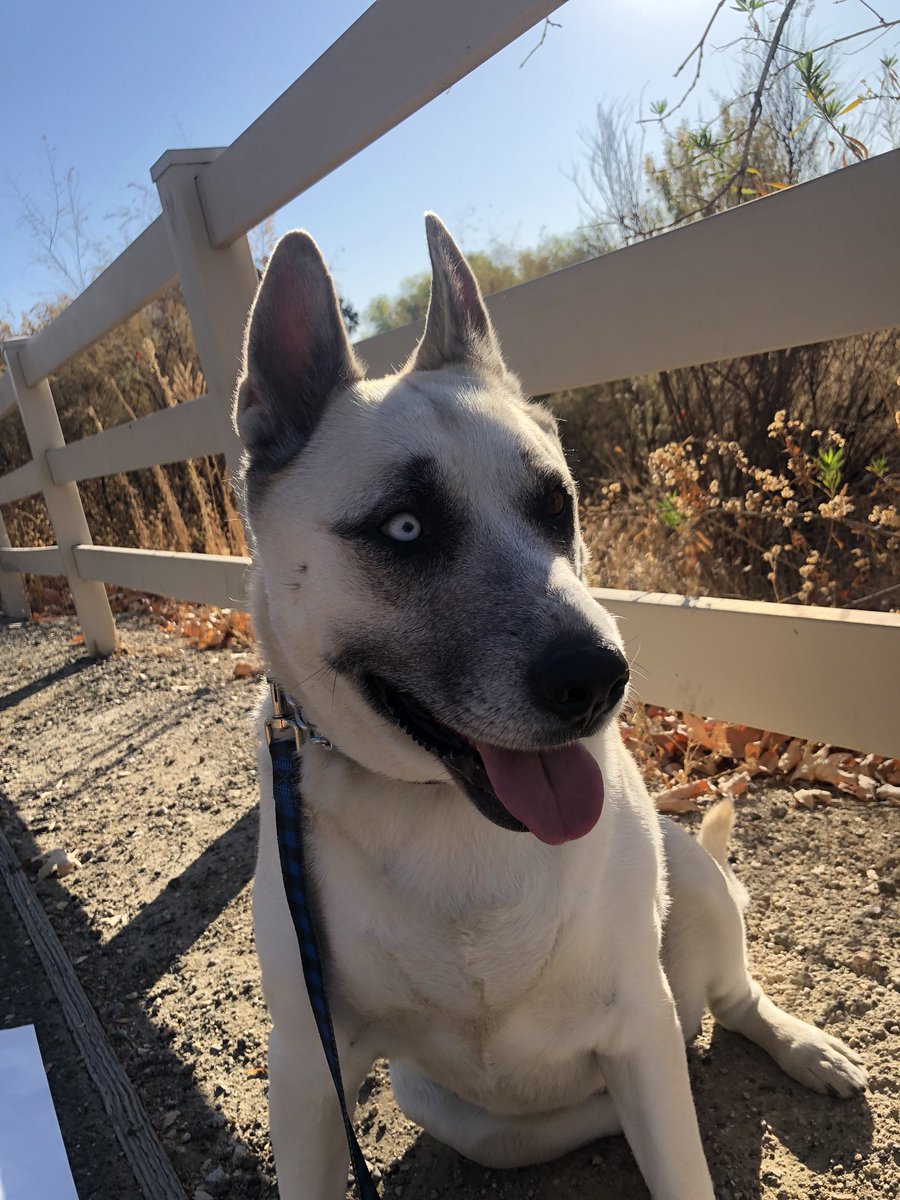 A nice #Saturday #run with this girl...