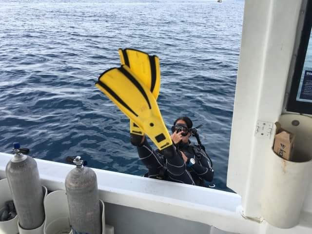 Diving into the weekend like....

Join us at Barefoot Divers on your next diving adventure: barefootdivers.com