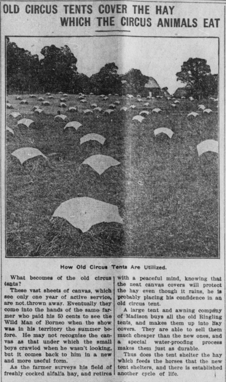 WisHistory's tweet photo. Recycling in 1914: a Madison company bought old Ringling circus tents and repurposed them as hay covers. #ChronAm https://t.co/3SVAodUOY6 #Wisconsin #WisconsinNews #WisconsinHistory https://t.co/FhemKHceoz