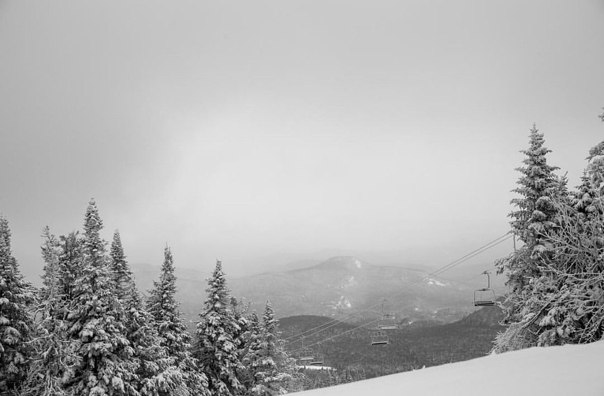 VIP Ontario Tours tweet media