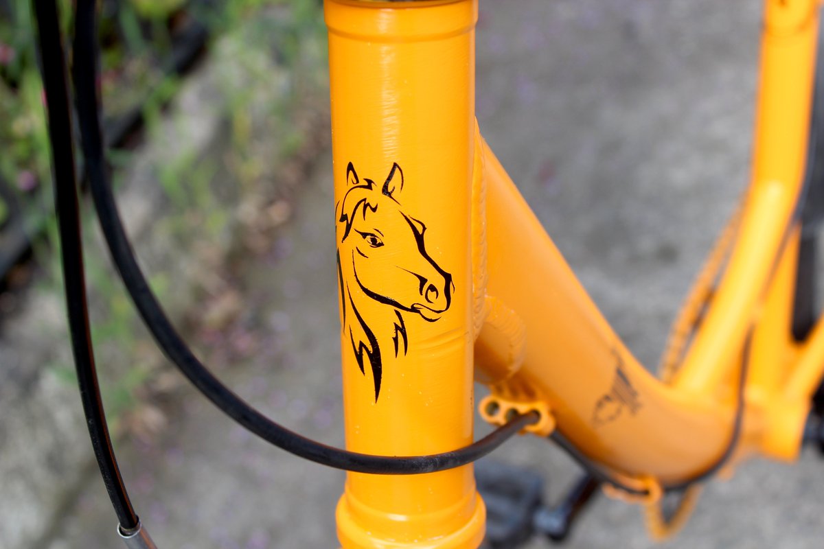 Explicit Bikes tweet media