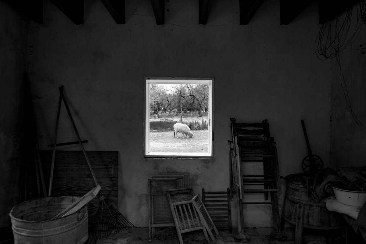 ATPI's tweet photo. First Place Faculty Single Image - Kate Philbrick, Episcopal High School, Bellaire, TX #atpifc19 https://t.co/mEqSpraQnJ