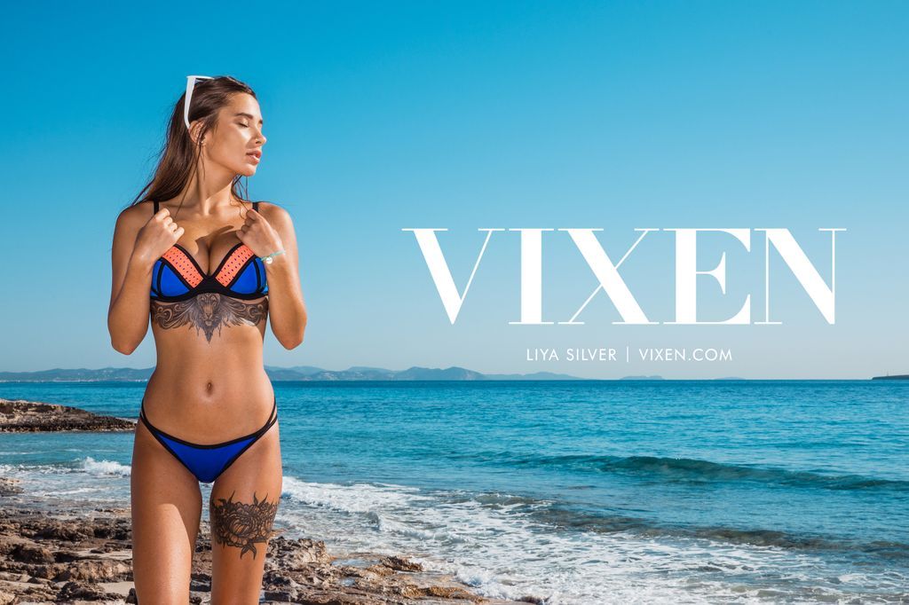 VIXEN у Твіттері.