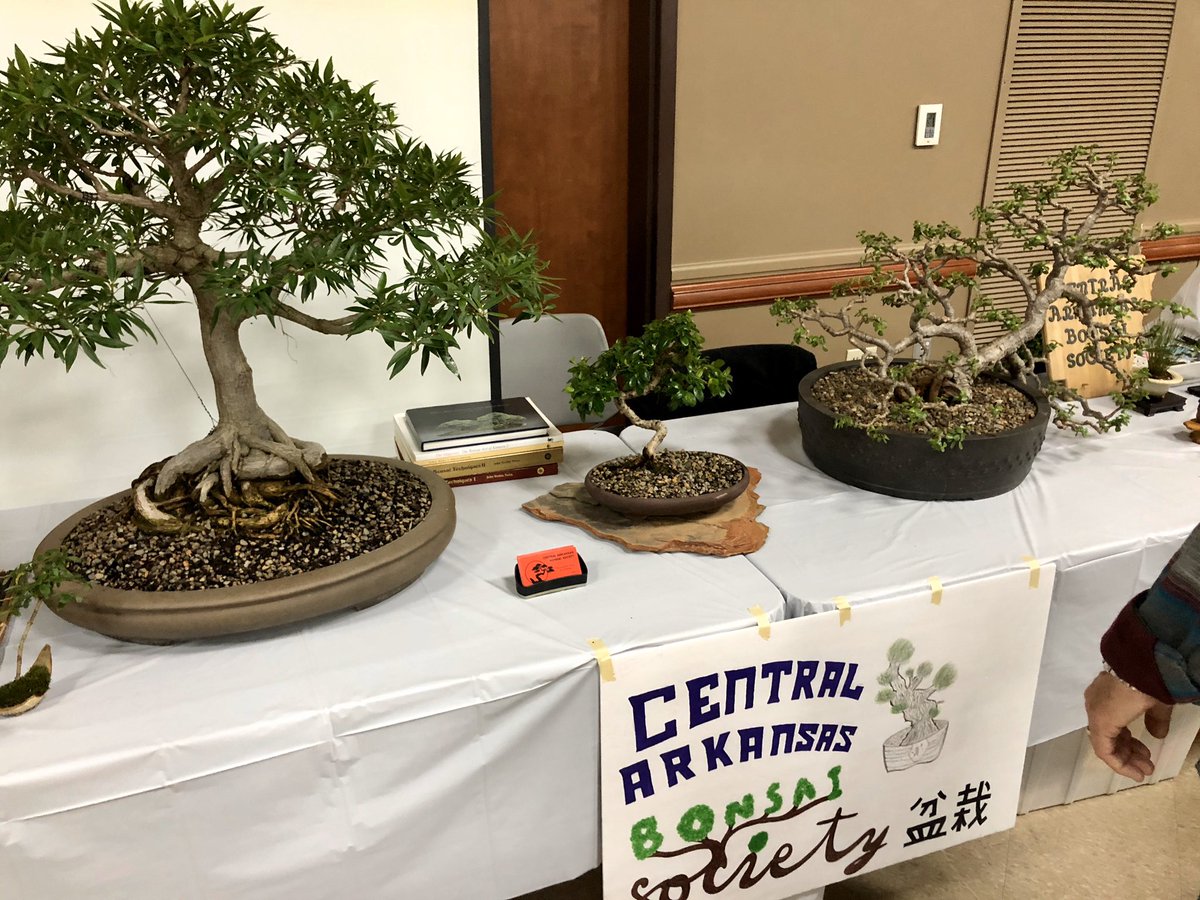 teamDogsHouse's tweet image. Not too late to go by the Student Center Ballroom and take part in the Japanese Festival. Thanks to @UCAIE for putting on a great event. They will be there until 5pm today!  @ University of Central Arkansas