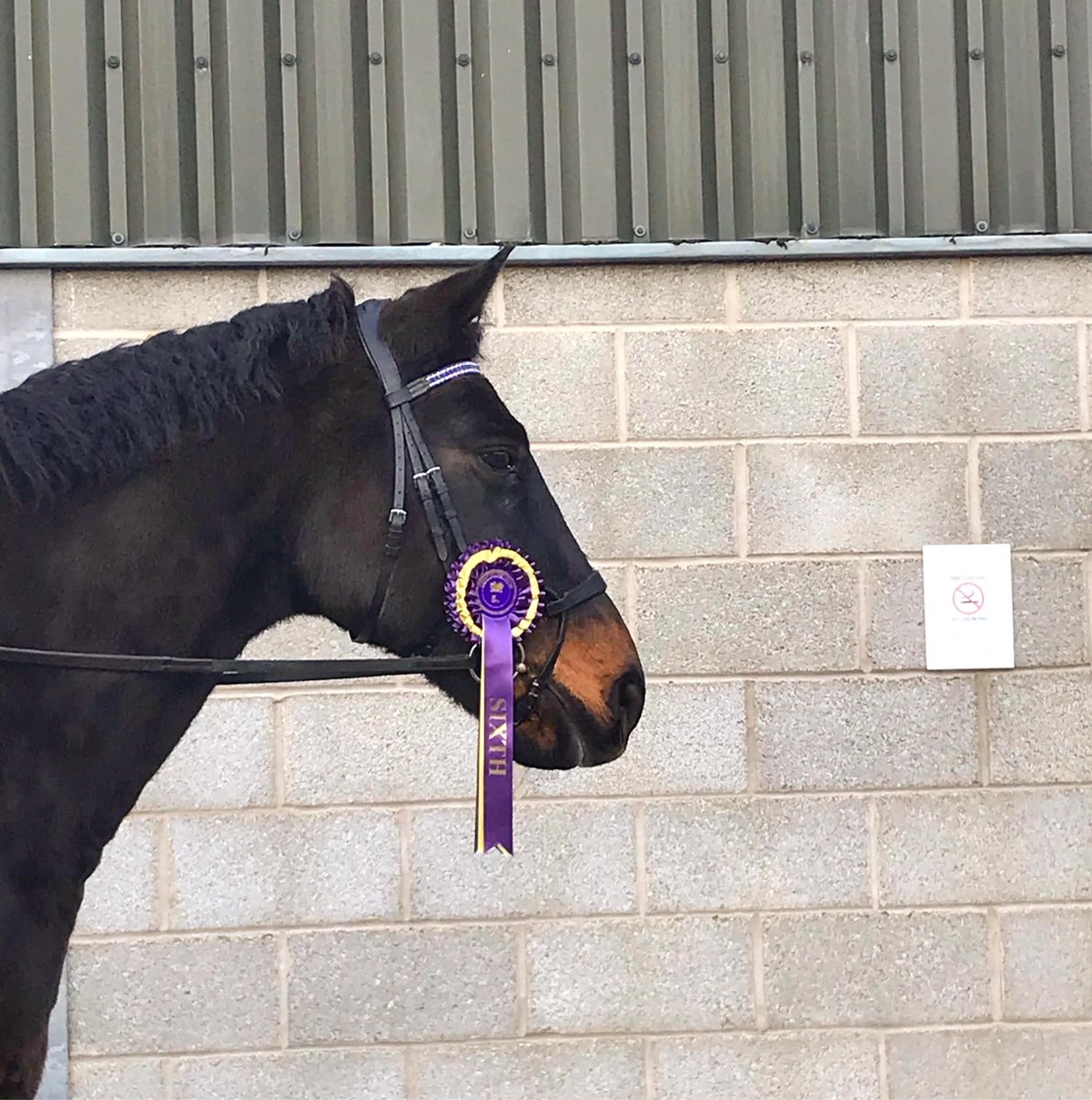 Chrissy Asplin tweet media