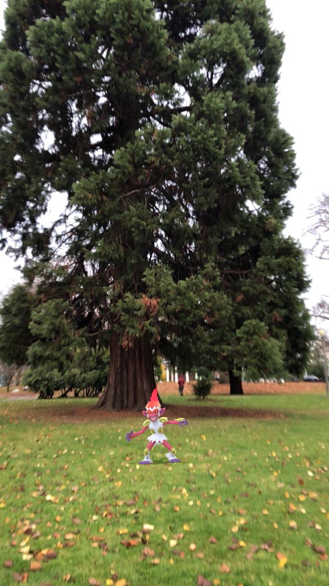 ModestNature79's tweet photo. Happy Chimchar Community!!!
#PokémonGO #GoSnapshot #CommunityDay https://t.co/HXanQXmJF4