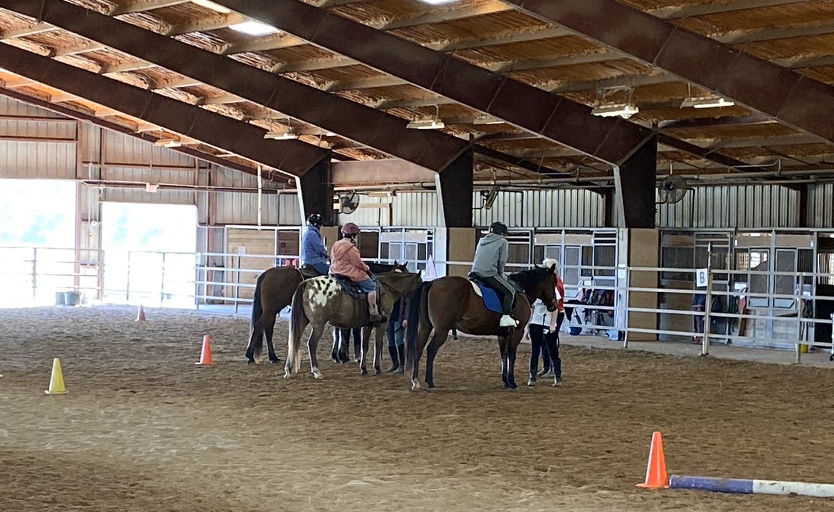 MJMudd's tweet photo. Thank you, @SIREhtec, for building our special needs daughter’s confidence and giving her joy for more than 15 years! #specialneedsparenting #autism #epilepsy #IAMTSC @tsalliance #horses 🐎💕 https://t.co/osYL7tELSy