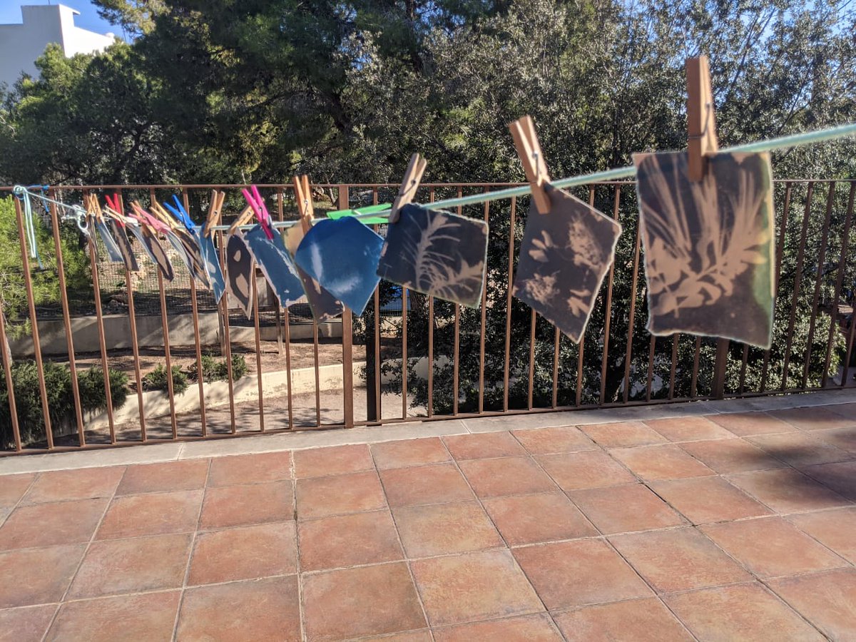 CJMontesionFA's tweet photo. Hoy en el @CJMontesionFA hemos reconectado con la naturaleza con las actividades de sensibilización medioambiental. Un grupo ha estado en la Foradà, en #Benitaia (Alacant). El otro grupo con @NaturayCultura2 en #CAVedat, aprendizaje para cuidar la casa común!!!! #SeguimEnContacte https://t.co/ZvIflMUAG6