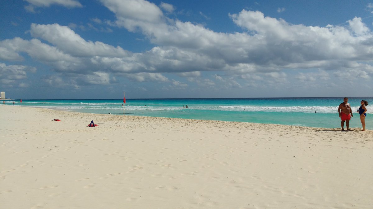 Kristin Busse tweet media