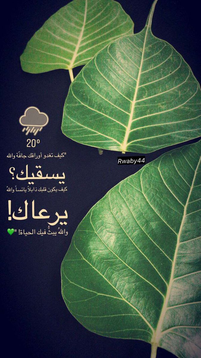 روابي tweet media