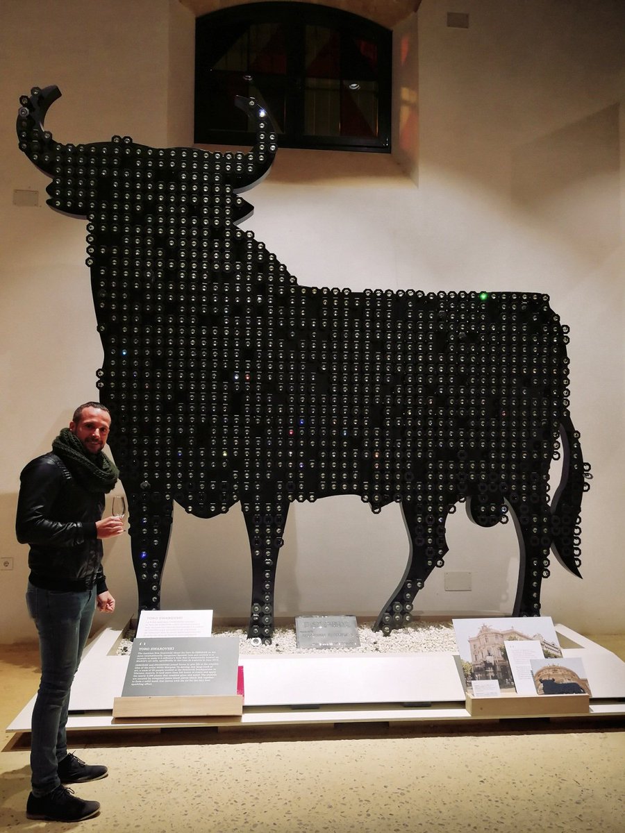 LosViajesdeDomi's tweet image. Hoy también hemos visitado las bodegas de @Osborne_es la Catedral del Vino y la interesantísima Toro Gallery #ForumElPuerto @TurismoElPuerto @atomarpormundo @unaideaunviaje @danikeral @viajar_vivir @NaniArenas @elPachinko @viajarlocura