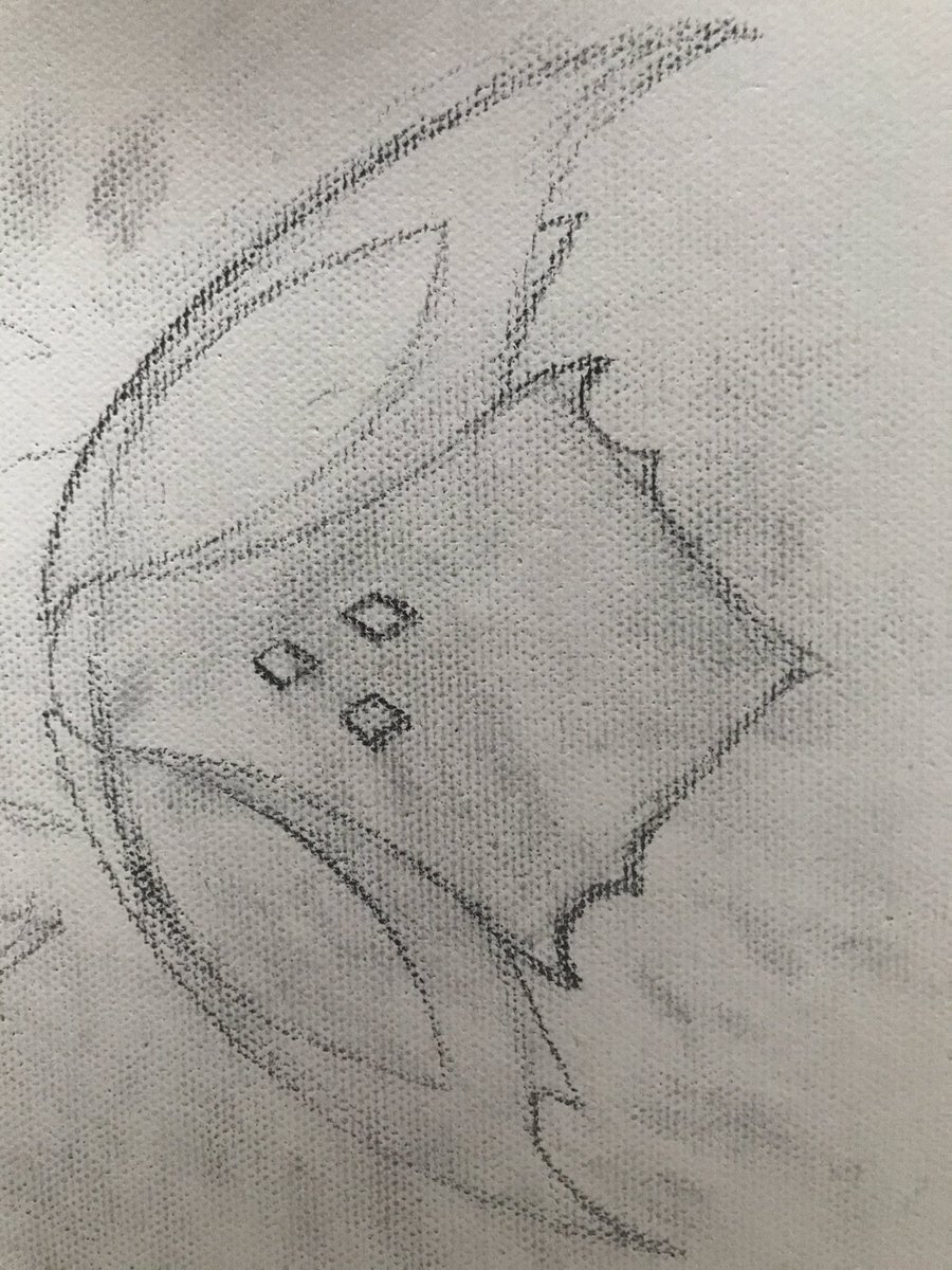 JacobBarnaby2's tweet image. #thepsiloside #mantids #mantis #preyingmantis #prayingmantis #insects #insect #art #sketchbook #sketches #sketch #sketching #doodle #doodle #draw #drawing #pencil #pencilandpaper #commissionsopen