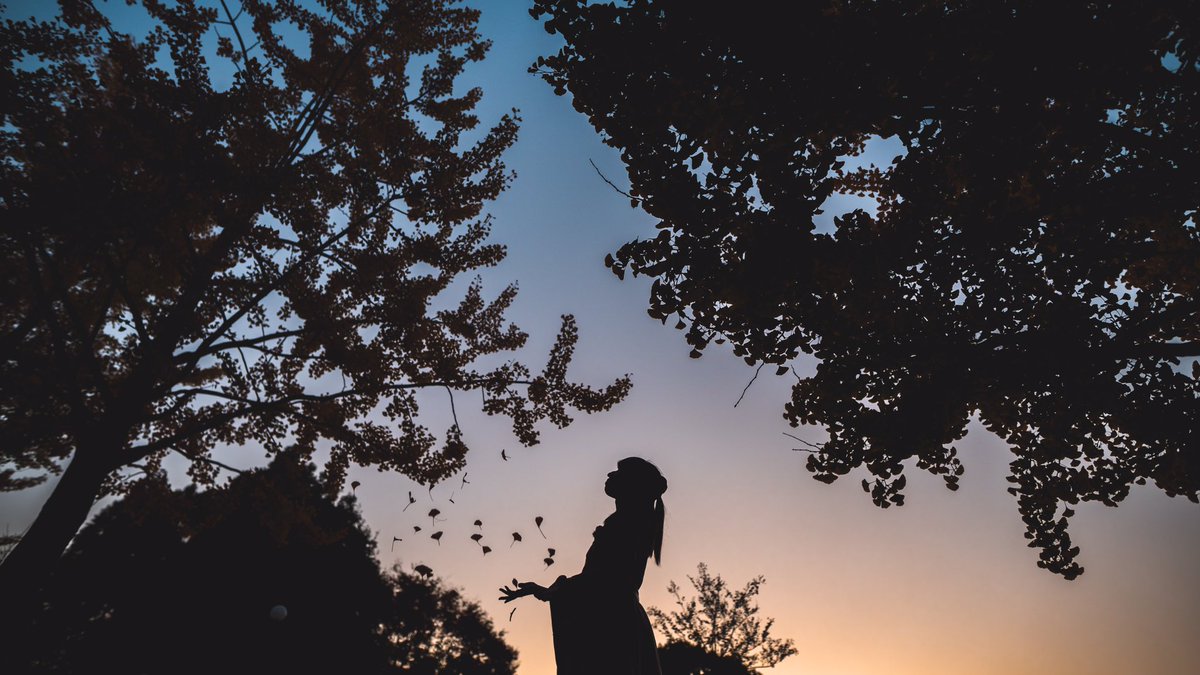 Rinaty 4 4 京嵐着物撮影イベ開催 Pa Twitter シルエットが大好きです カメラ始めたての時からそれはずっと変わらない カメラ女子 ポートレート シルエット Sony Canon Pasha Magazine ストロビスト