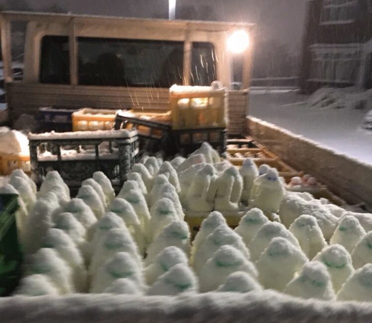 Are you ready for Winter? If you are looking for a milk delivery please contact <a href="/hanoverdairies/">Hanover Dairies</a> as we have expanded in to more areas 🤗 thank you