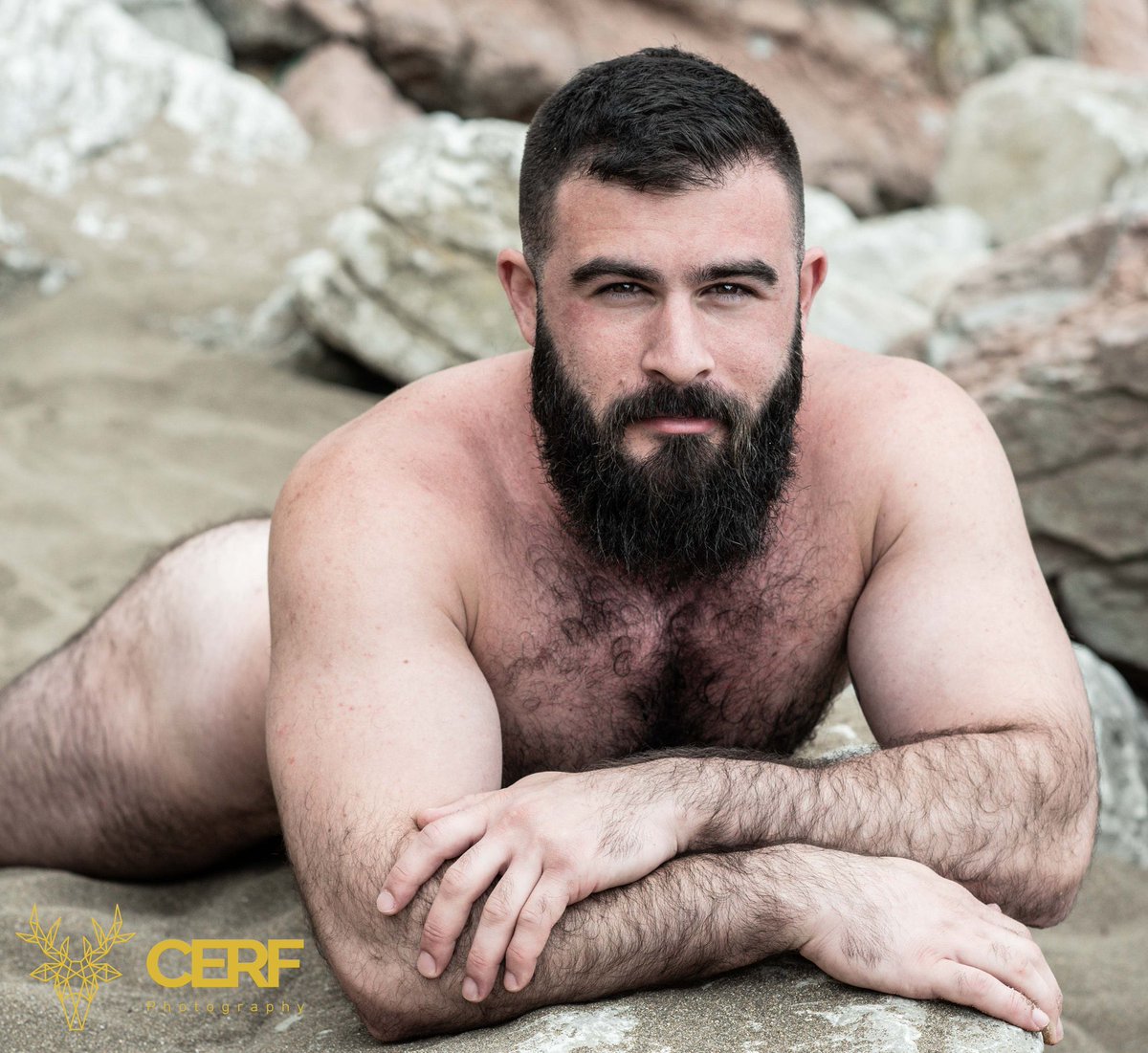 Gay Bear Dating App On Twitter