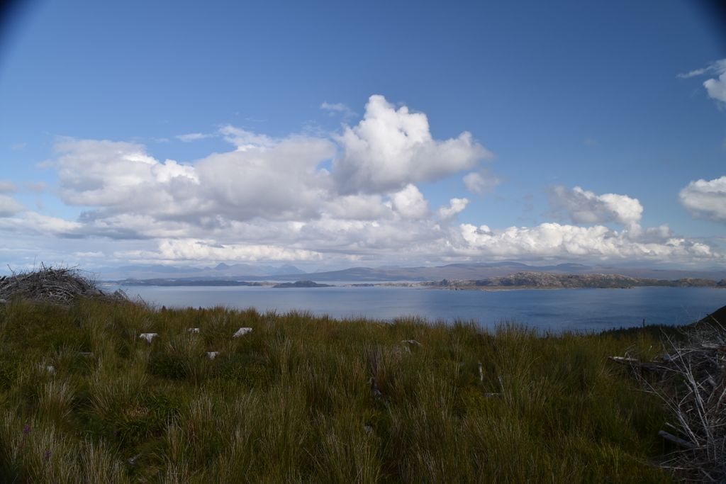 RamblerIntrepid (@ramblerintrepid) on Twitter photo 