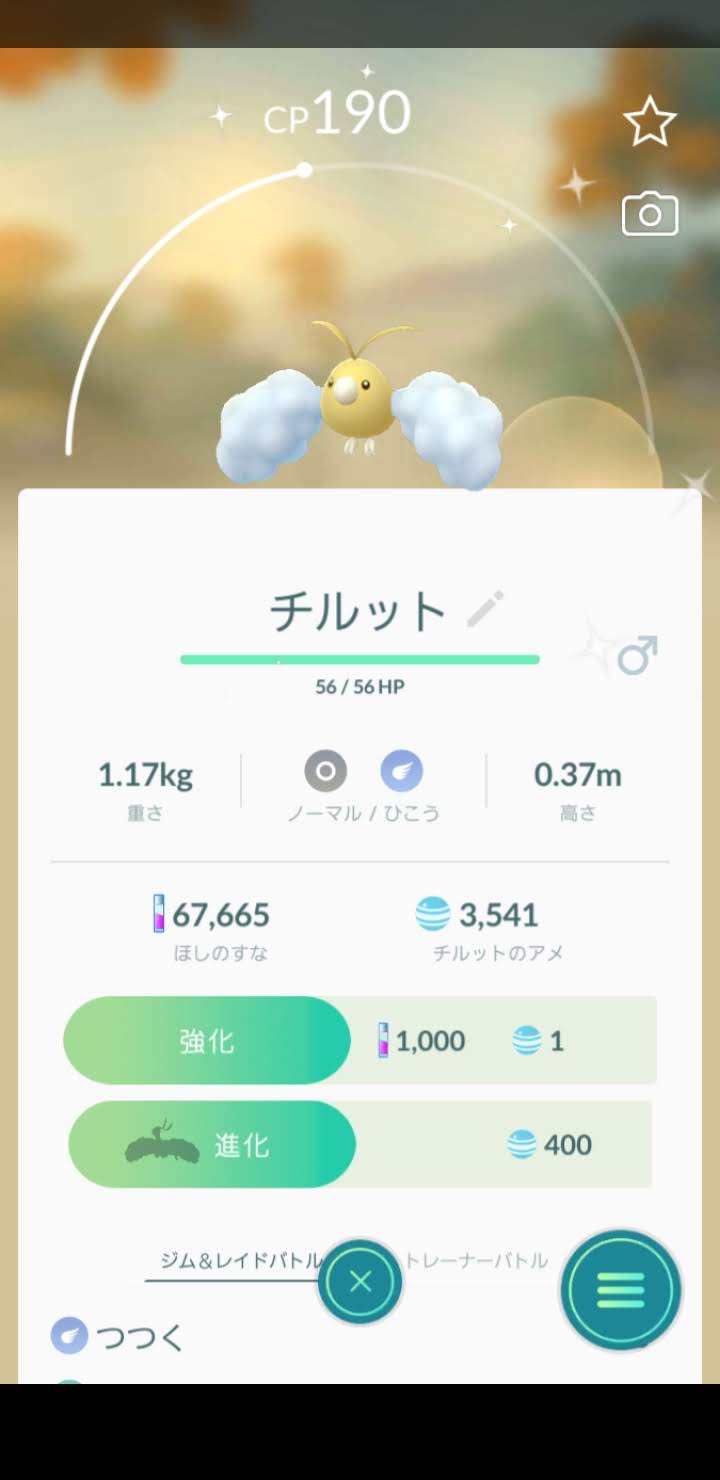 色違いチルット Twitter Search Twitter