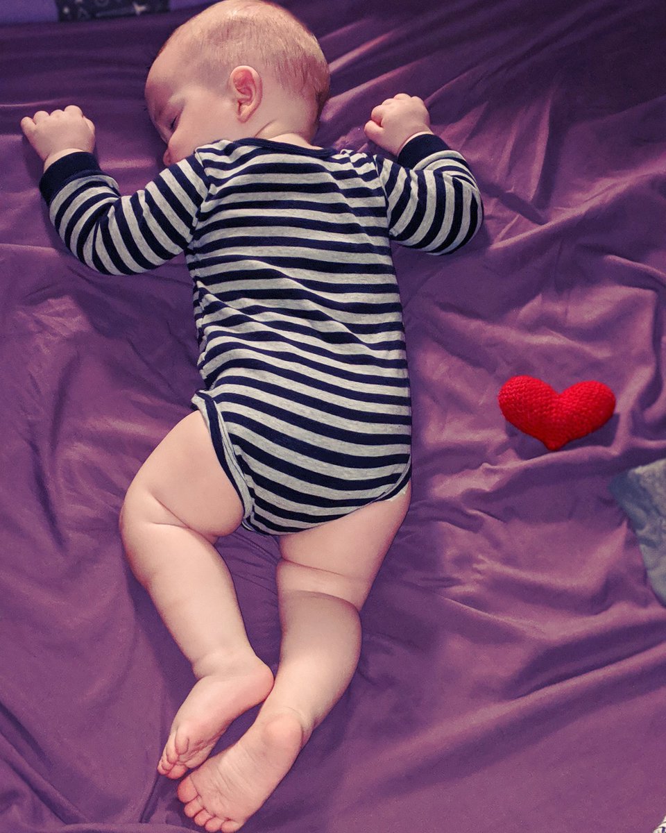 This cuteness though. Completely happenstance how Valentine fell asleep. 😍💜#CutenessOverload #cute #baby #myvalentine