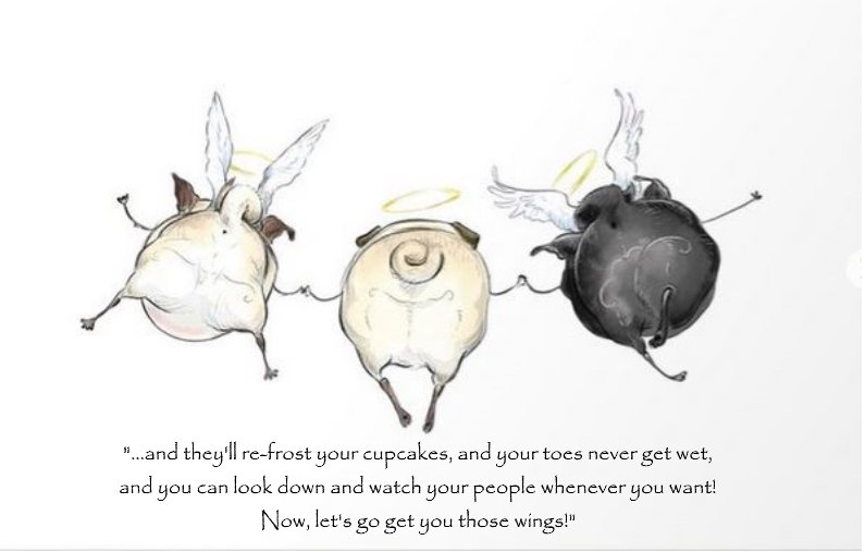 rettuej's tweet photo. @pugmama4life @Copugrescue @Inkpug @LisaAlesci This drawing makes me cry. It´s like my pug Chloe is talking to my beloved Woody. I still miss them so much. #inkpug chanched this picture for me so it looks like my pugs Paul and Chloe picking up Woody, when he passed away.😢 https://t.co/nVPhRMiFBF